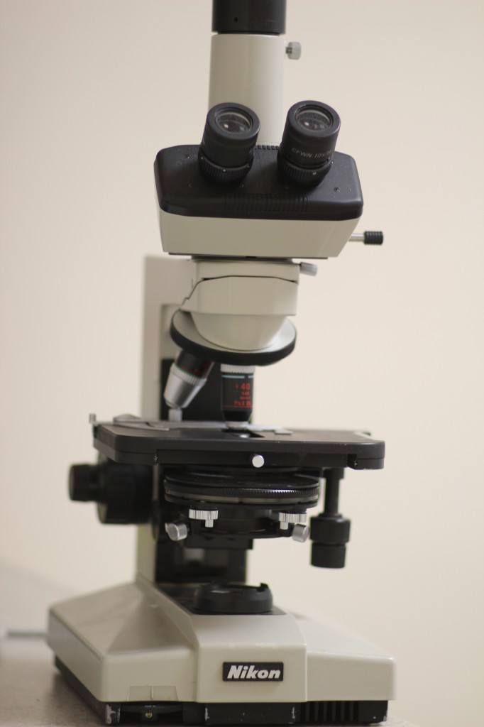 Holistic Microscope